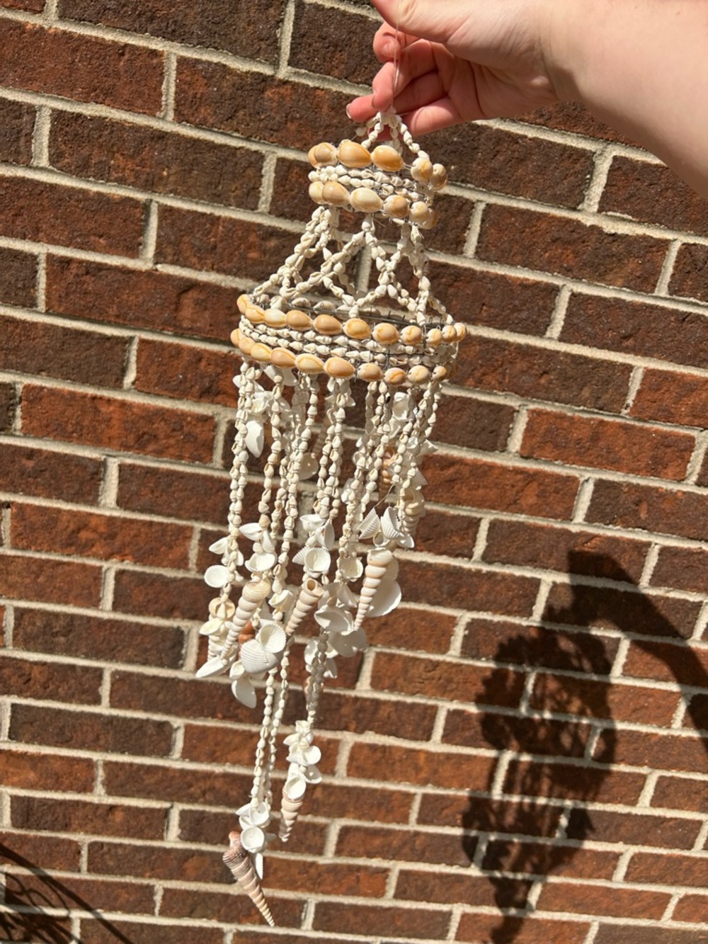 Shell chandelier - Picture 15 of 16